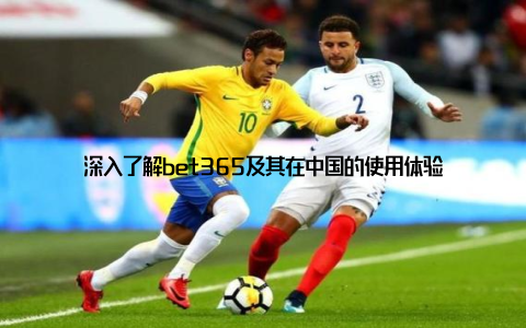 深入了解bet365及其在中国的使用体验